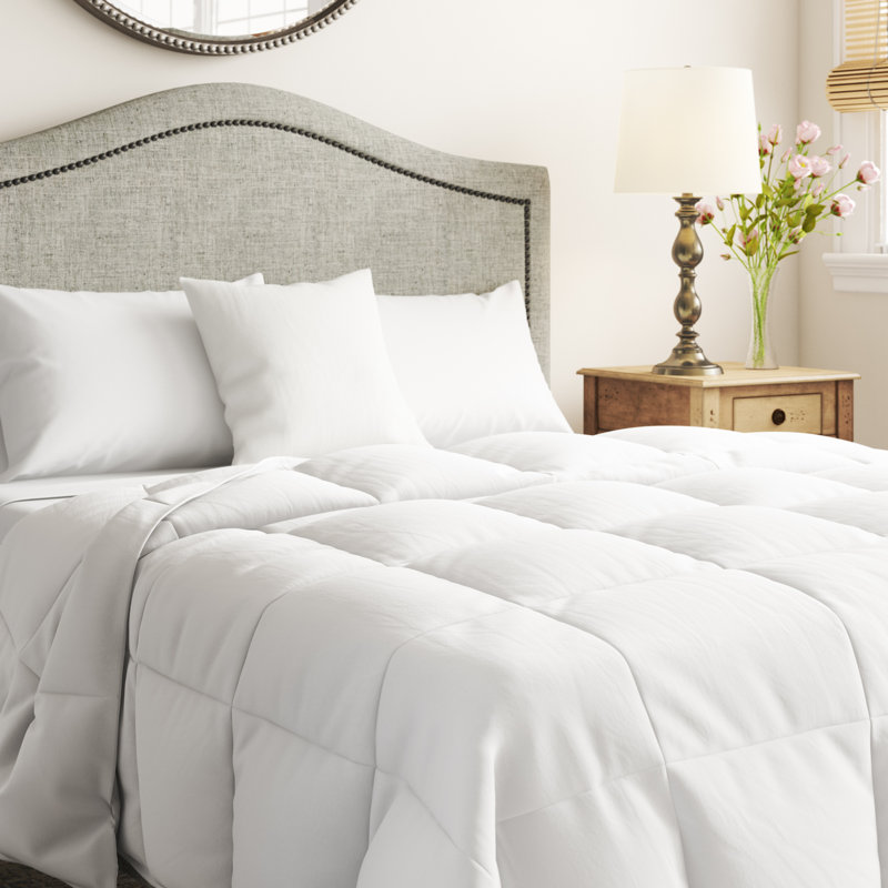 Eider & Ivory Lightweight 600 Fill Power Summer Down Comforter & Reviews Wayfair